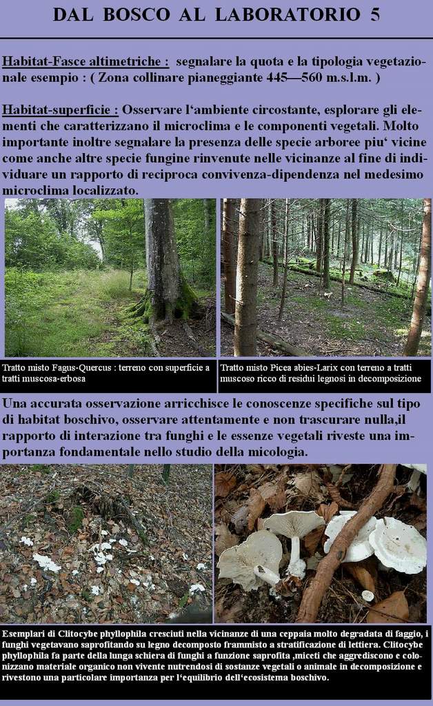 Dal Bosco al Laboratorio